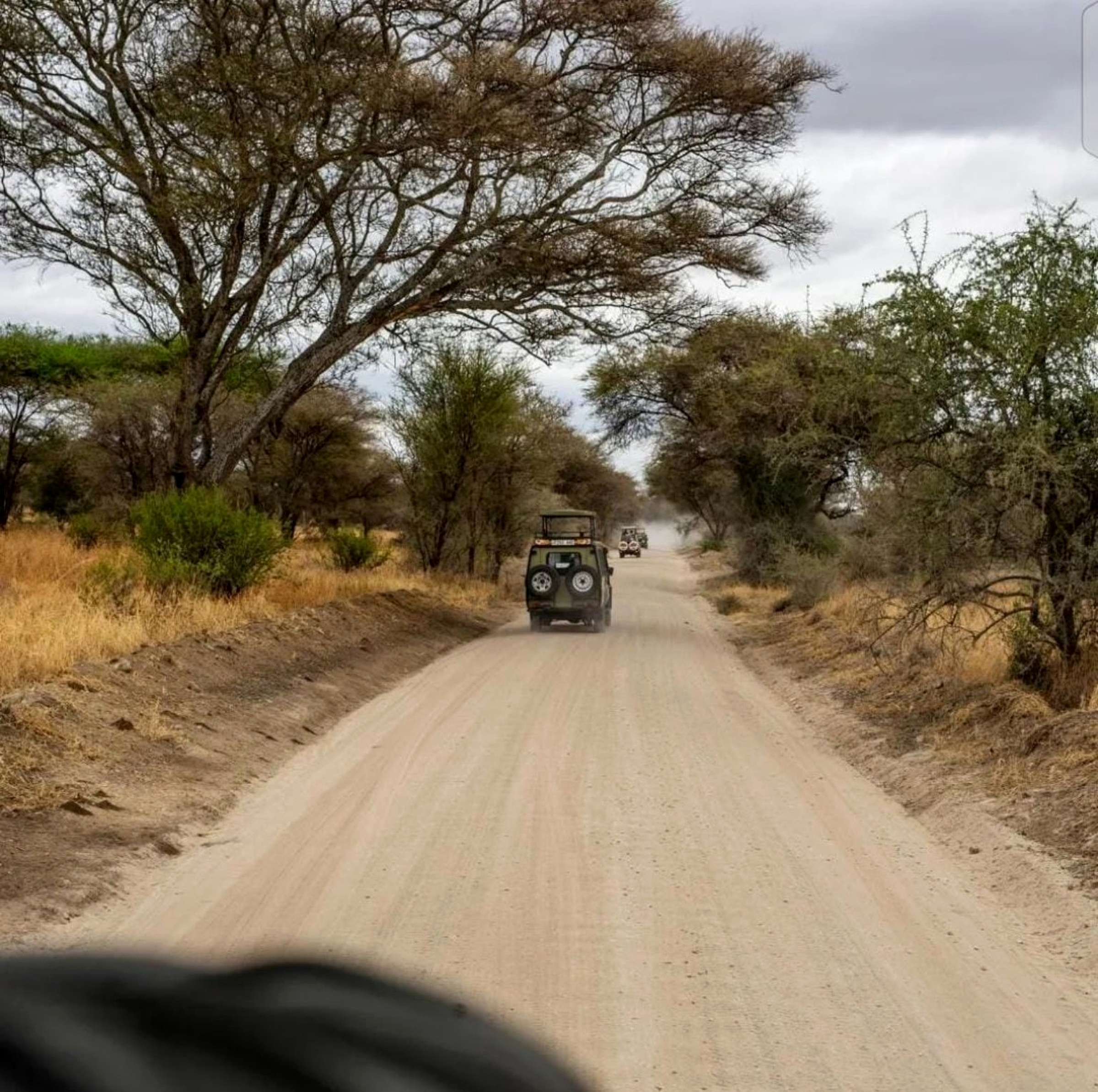 Custom Safari Package