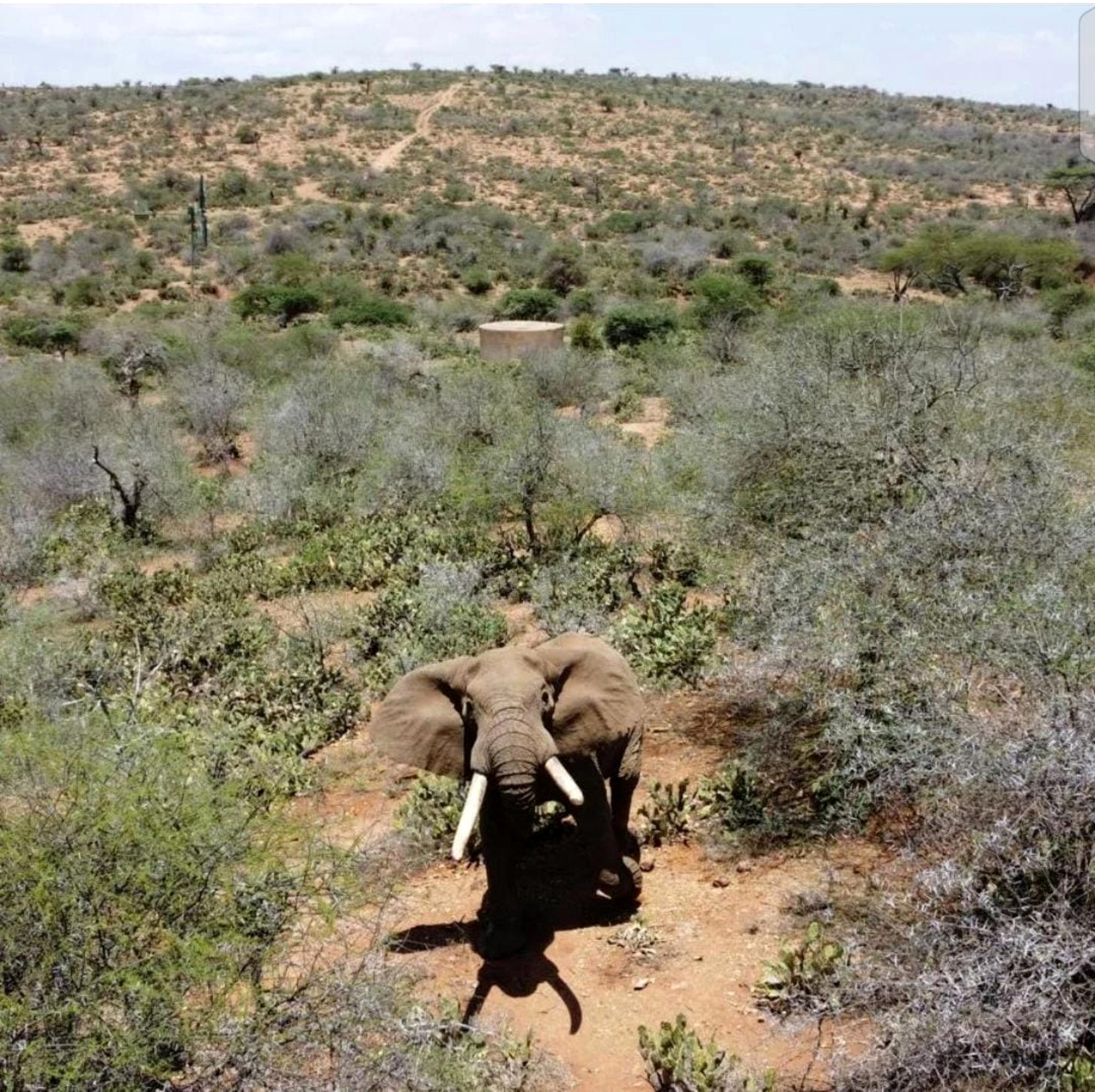 7-Day Best of Kenya